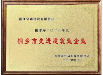 2023年度桐鄉(xiāng)先進(jìn)建筑業(yè)企業(yè)