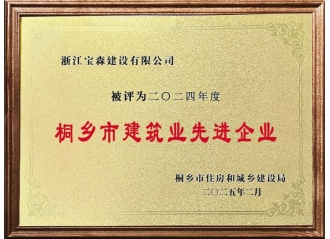 2024年度桐鄉(xiāng)建筑業(yè)先進(jìn)企業(yè)