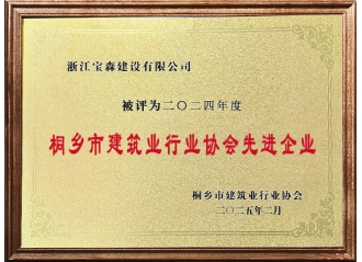 2024年建筑業(yè)行業(yè)協(xié)會(huì)先進(jìn)